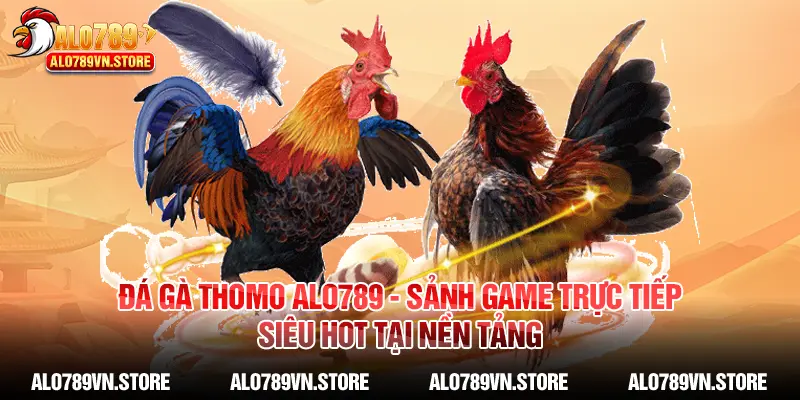 Đá gà Thomo Alo789 - Sảnh game trực tiếp siêu hot tại nền tảng